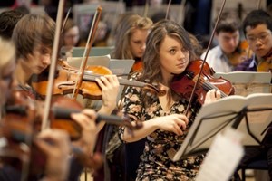 violins