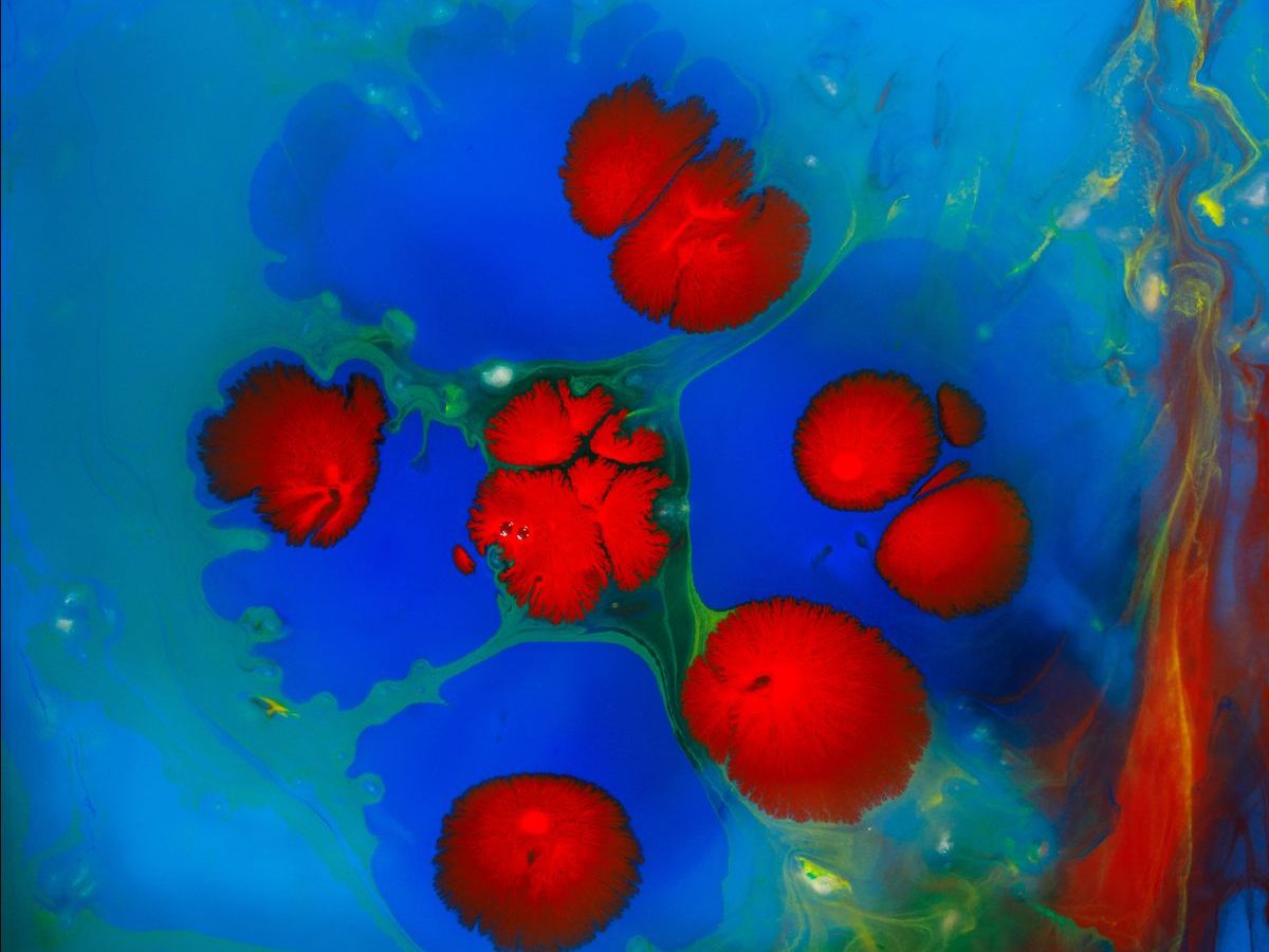 Digital Resources for Children and Young People